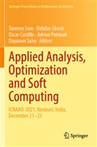 Oscar Castillo, Oscar Castillo et al, Debdas Ghosh, Adrian Petrusel, Dayaram Sahu, Tanmoy Som - Applied Analysis, Optimization and Soft Computing