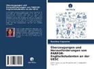Roselma Cajazeira - Überzeugungen und Herausforderungen von PARFOR-Englischstudenten an der UESC