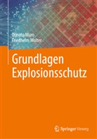 Donato Muro, Friedhelm Wolter - Grundlagen Explosionsschutz