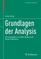 Heinz König, Klaus Barbey, Kallenborn, Reiner Kallenborn - Grundlagen der Analysis