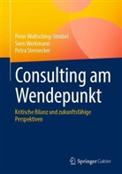 Sternecke, Petra Sternecker, Sven Werkmann, Peter Wollsching-Strobel - Consulting am Wendepunkt