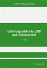 Bettina Hürlimann-Kaup, Jürg Schmid - Einleitungsartikel des ZGB und Personenrecht