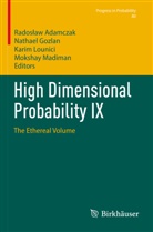 Rados¿aw Adamczak, Radoslaw Adamczak, Nathael Gozlan, Karim Lounici, Karim Lounici et al, Mokshay Madiman - High Dimensional Probability IX