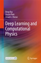 Assad A Oberai, Assad A. Oberai, Orazio Pinti, Deep Ray - Deep Learning and Computational Physics