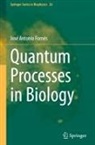 José Antonio Fornés - Quantum Processes in Biology