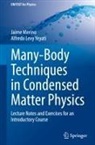 Jaime Merino, Alfredo Levy Yeyati - Many-Body Techniques in Condensed Matter Physics