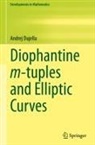 Andrej Dujella - Diophantine m-tuples and Elliptic Curves