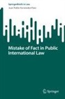 Juan Pablo Hernández Páez - Mistake of Fact in Public International Law