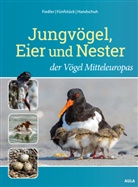 Wolfgang Fiedler, Hans-Joachim Fünfstück, Handschu, Markus Handschuh - Jungvögel, Eier und Nester der Vögel Mitteleuropas