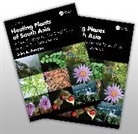 John A. Parrotta, Parrotta John A. - Healing Plants of South Asia