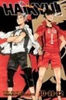 Haruichi Furudate, Haruichi Furudate - Haikyu!! 4
