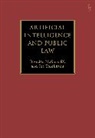Brendan McGurk KC, Brendan McGurk, Joe Tomlinson, Tomlinson Joe - Artificial Intelligence and Public Law