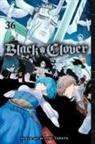 Yuki Tabata, Yuki Tabata - Black Clover 36