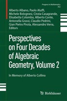Alberto Albano, Paolo Aluffi, Michele Bolognesi, Michele Bolognesi et al, Cinzia Casagrande, Elisabetta Colombo... - Perspectives on Four Decades of Algebraic Geometry, Volume 2