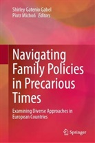 Shirley Gatenio Gabel, Piotr Micho¿, Michon, Piotr Michon - Navigating Family Policies in Precarious Times