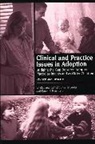Victor Groza, Groza Victor K., Karen F. Rosenberg, Rosenberg Karen F., Karen F. Rosenberg - Clinical and Practice Issues in Adoption
