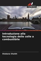 Shabana Shaikh - Introduzione alla tecnologia delle celle a combustibile