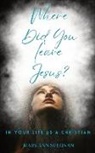 Mary Ann Sullivan - Where Did You Leave Jesus?