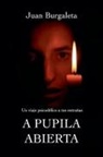 Juan Burgaleta - A Pupila Abierta