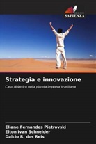 Eliane Fernandes Pietrovski, Dalcio R. dos Reis, Elton Ivan Schneider - Strategia e innovazione