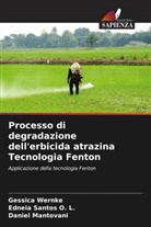 Daniel Mantovani, Edneia Santos O. L., Gessica Wernke - Processo di degradazione dell'erbicida atrazina Tecnologia Fenton