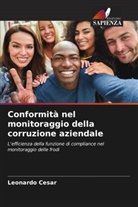 Leonardo Cesar - Conformità nel monitoraggio della corruzione aziendale