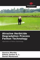 Daniel Mantovani, Edneia Santos O. L., Gessica Wernke - Atrazine Herbicide Degradation Process Fenton Technology