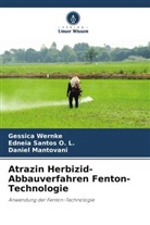 Dani Mantovani, Daniel Mantovani, Edneia Santos O L, Edneia Santos O. L., Gessica Wernke - Atrazin Herbizid-Abbauverfahren Fenton-Technologie
