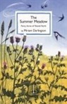 Miriam Darlington - The Summer Meadow