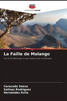 Hernández Ávila, Salinas Rodríguez, Cerecedo Sáenz - La Faille de Molango
