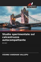 Vishnu Vardhan Vallepu - Studio sperimentale sul calcestruzzo autocompattante