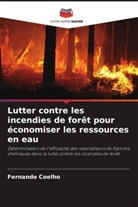 Fernando Coelho - Lutter contre les incendies de forêt pour économiser les ressources en eau