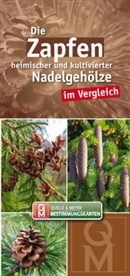 Quelle &amp; Meyer Verlag, Quelle Meyer Verlag, Quelle &amp; Meyer Verlag, Quelle &amp;amp; Meyer Verlag, Quelle Meyer Verlag - Die Zapfen heimischer und kultivierter Nadelgehölze im Vergleich