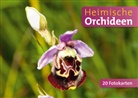 Quelle &amp; Meyer Verlag, Quelle &amp;amp; Meyer Verlag, Quelle Meyer Verlag - Heimische Orchideen