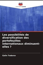 Galin Todorov - Les possibilités de diversification des portefeuilles internationaux diminuent-elles ?
