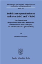 Johannes Leon Lorber - Stabilisierungsmaßnahmen nach dem StFG und WStBG