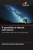Hermínio Ernesto Nhantumbo - È possibile la libertà nell'uomo?