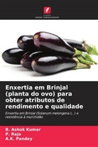 B. Ashok Kumar, A. K. Pandey, A.K. Pandey, P. Raja - Enxertia em Brinjal (planta do ovo) para obter atributos de rendimento e qualidade