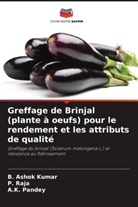 B. Ashok Kumar, A. K. Pandey, A.K. Pandey, P. Raja - Greffage de Brinjal (plante à oeufs) pour le rendement et les attributs de qualité