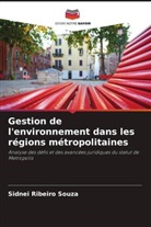 Sidnei Ribeiro Souza - Gestion de l'environnement dans les régions métropolitaines