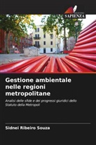 Sidnei Ribeiro Souza - Gestione ambientale nelle regioni metropolitane