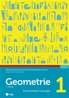 DMK Deutschschweizerische Mathematikkommission, Michael Graf, Heinz Klemenz - Geometrie 1 - Kommentierte Lösungen (Print inkl. E-Book Edubase, Neuauflage 2024)