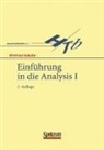 Winfried Kaballo - Einführung in die Analysis. Bd.1
