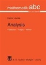 Heinz Junek, Heinz (Prof. Dr.) Junek - Analysis