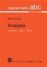 Heinz Junek, Heinz (Prof. Dr.) Junek - Analysis