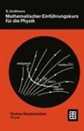 Siegfried Großmann - Mathematischer Einführungskurs für die Physik