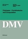 Gil Kalai, Günter M. Ziegler - Polytopes - Combinations and Computation