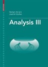Herbert Amann, Joachim Escher - Analysis III. Vol.3
