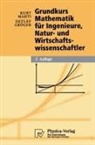 Detlef Gröger, Kurt Marti - Grundkurs Mathematik für Ingenieure, Natur- und Wirtschaftswissenschaftler
