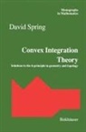 David Spring - Convex Integration Theory